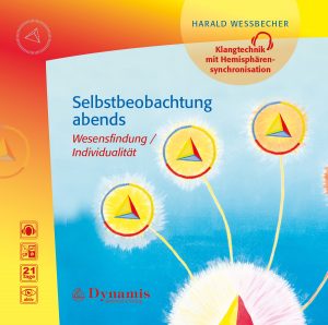 Selbstbeobachtung abends